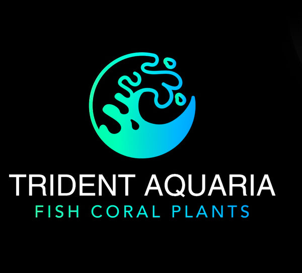 Trident Aquaria
